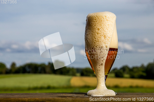 Image of Glass of beer on summer landscape background. 