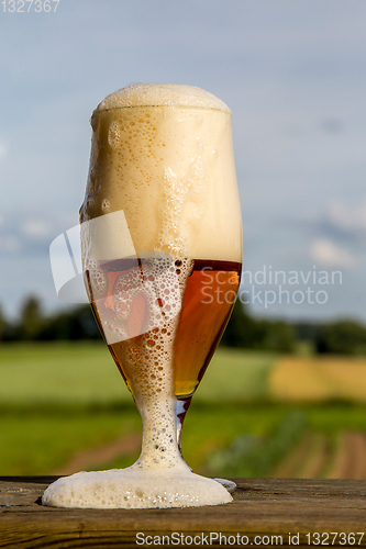 Image of Glass of beer on summer landscape background. 