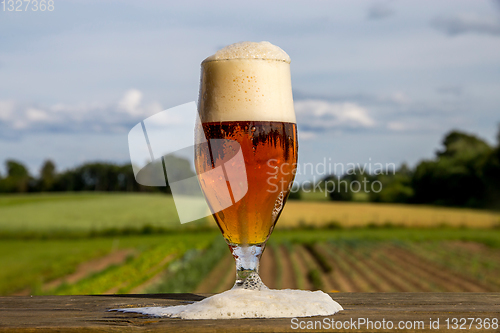 Image of Glass of beer on summer landscape background. 