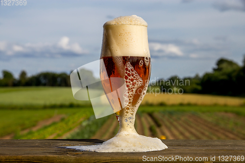 Image of Glass of beer on summer landscape background. 