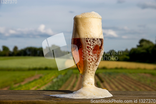 Image of Glass of beer on summer landscape background. 