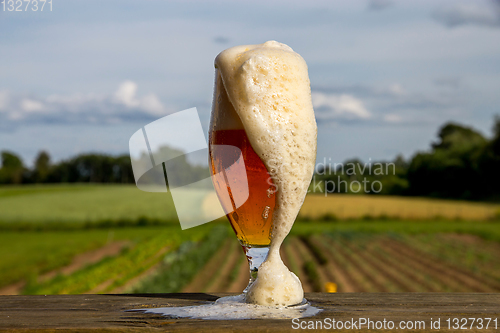 Image of Glass of beer on summer landscape background. 