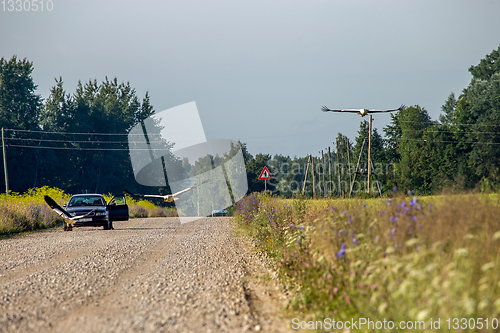 Image of Landscape with rural road and storks.