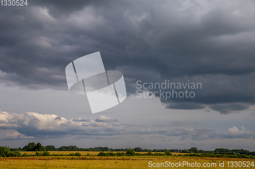 Image of Landscape with cereal field, trees and cloudy blue sky