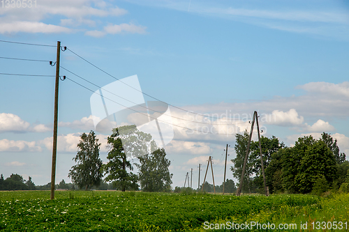 Image of Green field with flowering potatoes