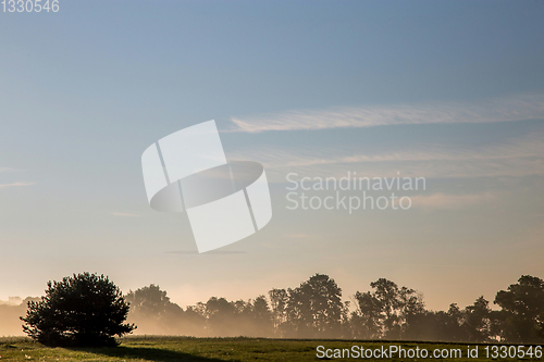 Image of Fog on the field in summer season.