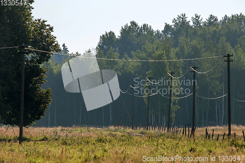 Image of Fog on the forest in summer season.