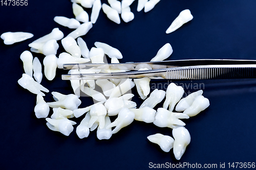 Image of tweezers and white teeth on blue background