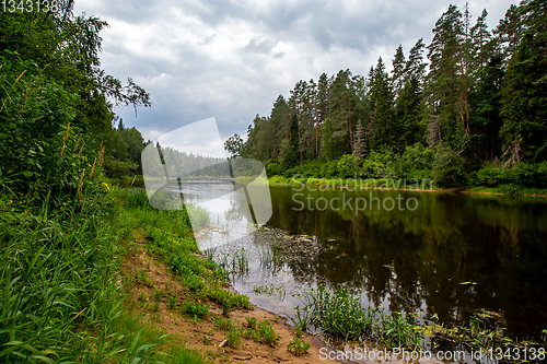 Image of Landscape with river, forest and blue sky.