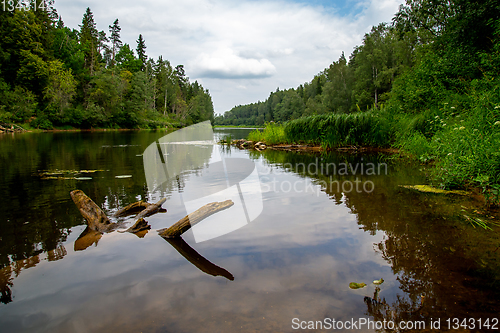 Image of Landscape with river, forest and blue sky.