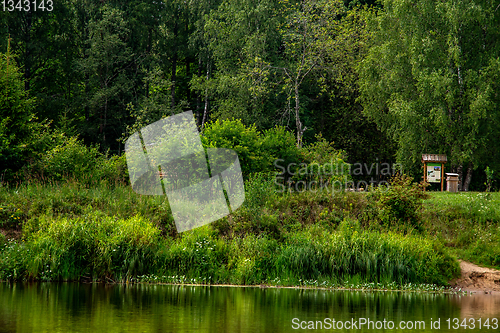 Image of Green grass and forest on the river bank.