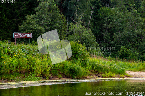 Image of Green grass and forest on the river bank.