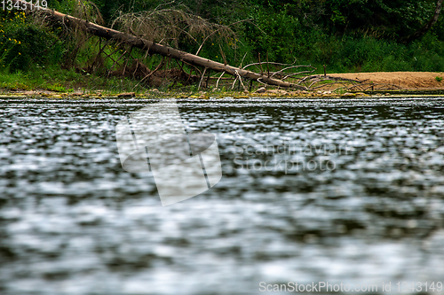 Image of Landscape with forest on the river bank.