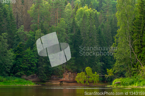 Image of Landscape with river, cliff  and forest in Latvia.