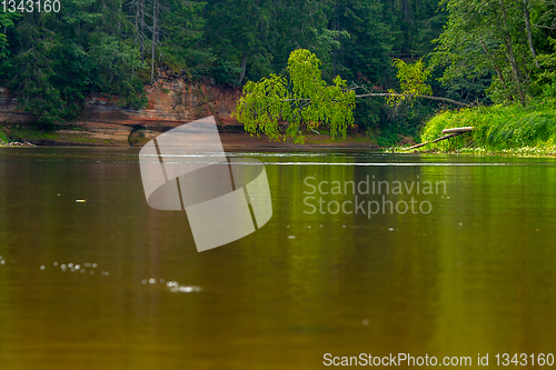 Image of Landscape with river, cliff  and forest in Latvia.