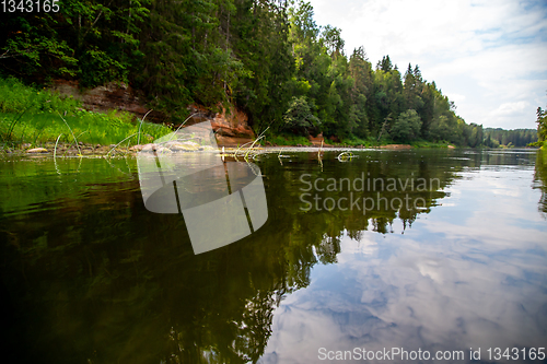 Image of Landscape with river, cliff  and forest in Latvia.