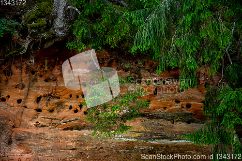 Image of Red sandstone cliff and trees near the river.