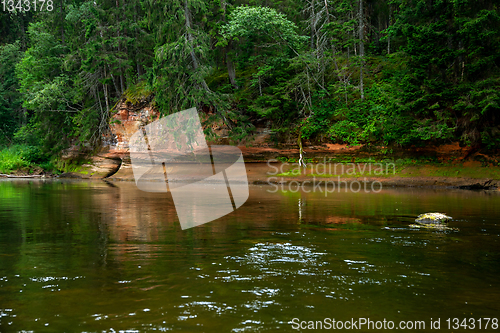 Image of Landscape with river, cliff  and forest in Latvia.