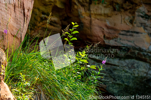 Image of Red sandstone cliff near the river.