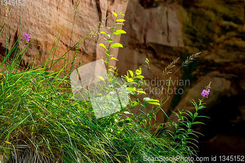 Image of Red sandstone cliff near the river.