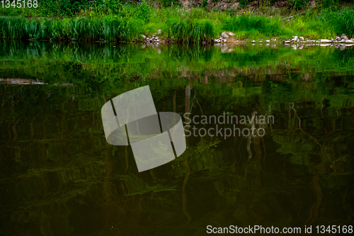 Image of Landscape of river and reflection of green forest.