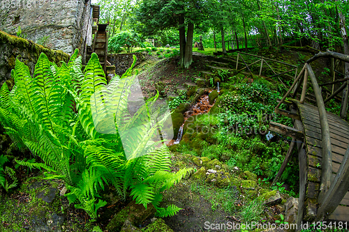 Image of Ferns, bridge and mill in the old park