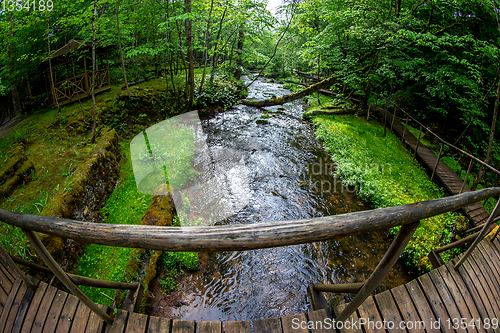 Image of Forest with river, wooden bridge and hut