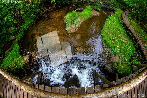 Image of Forest with waterfall and wooden bridge