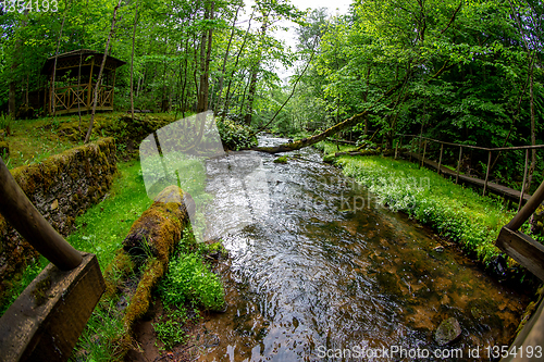 Image of Forest with river, wooden bridge and hut