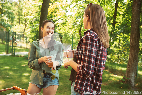 Image of Happy friends are having beer and barbecue party at sunny day