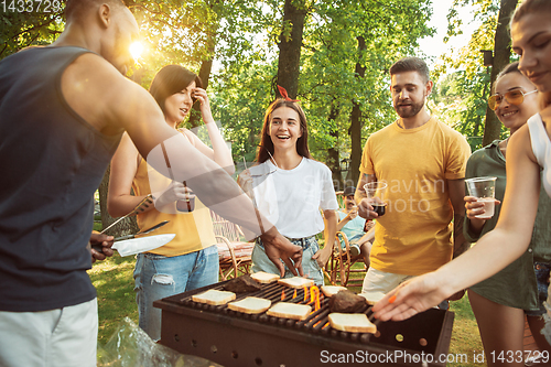 Image of Happy friends are having beer and barbecue party at sunny day