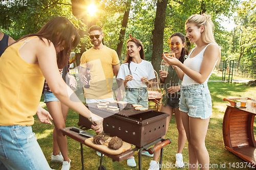 Image of Happy friends are having beer and barbecue party at sunny day