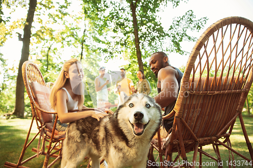 Image of Happy friends are having beer and barbecue party at sunny day