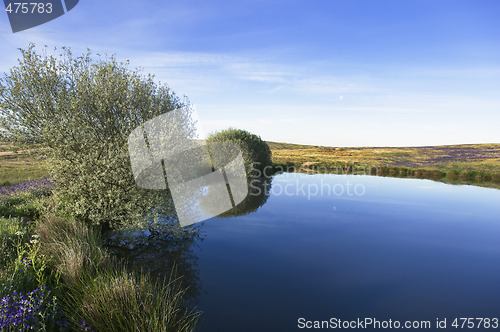 Image of Small lake