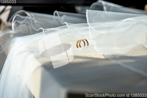 Image of Wedding rings on the bridal veil