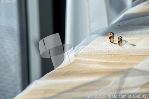 Image of Wedding rings on the bridal veil