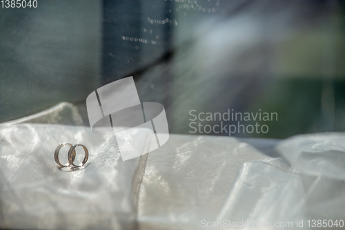 Image of Wedding rings on the bridal veil