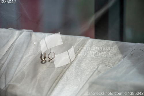 Image of Wedding rings on the bridal veil