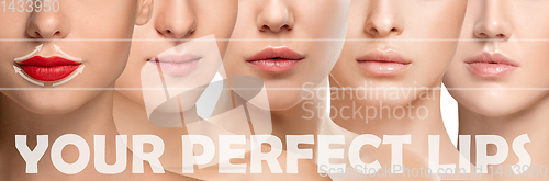 Image of Beautiful female face, concept of skincare and lifting. Perfect lips.