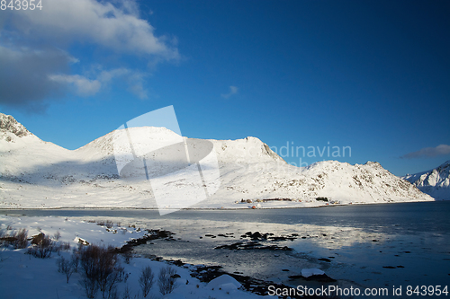 Image of The Lofoten, Norway