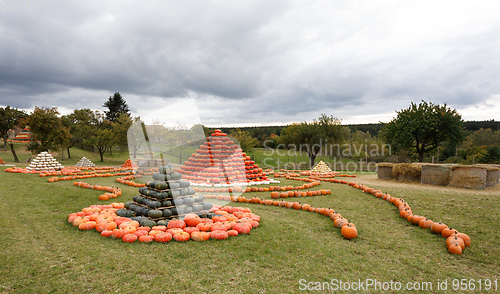 Image of Autumn harvested pumpkins arranged for fun like pyramid