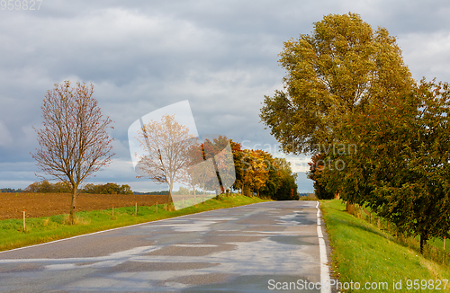 Image of rural road in the autumn with yellow trees