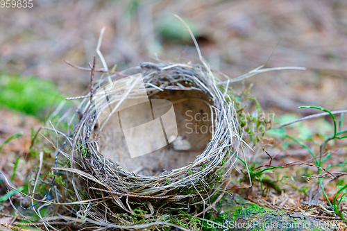 Image of empty bird\'s abandoned nest lies on the ground