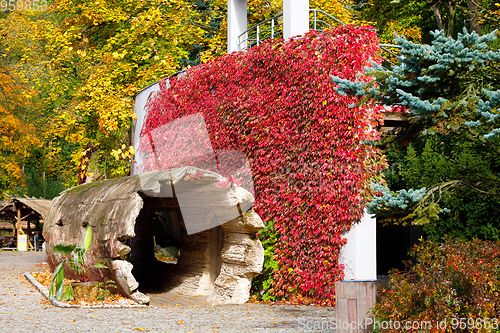 Image of autumn colors composition outdoor