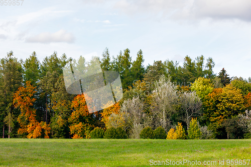 Image of Autumn trees with yellow and orange leaves