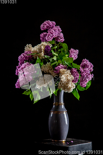 Image of Lilac in vase on the black background