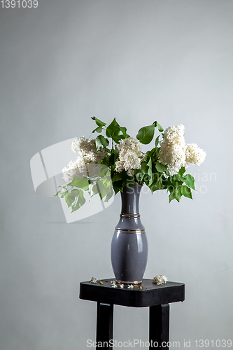 Image of Lilac in vase on the gray background