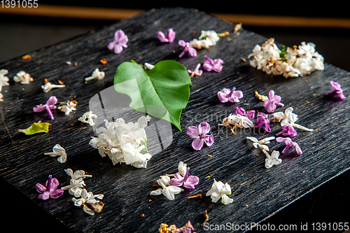 Image of Fallen lilac flowers and leaf on the table