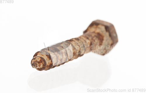 Image of Rusted old screw isolated