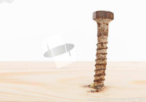 Image of Rusted old screw isolated